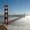 Photo of Marin L.