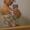 Photo of Adrianna T.