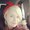 Photo of Holly K.