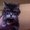 Photo of Kacy A.