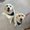 Photo of Bobbo5923