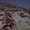 Photo of Marilena P.
