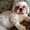 Photo of Piper C.