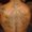 Photo of Efrain M.