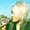 Photo of Jenny S.