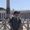 Photo of Alex M.