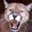 Photo of Cat L.