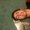 Photo of Nikolas F.