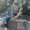 Photo of Emely S.