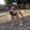 Photo of Ivette A.
