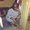 Photo of Ronika R.