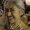 Photo of Claudia D.