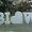 Photo of Biow C.
