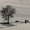 Photo of Rote R.
