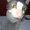 Photo of Donna D.