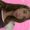 Photo of Ammie J.