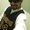 Photo of Luis A.