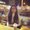 Photo of Avni M.