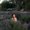 Photo of Uyen N.