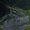 Photo of Qype User (adamst…)