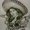 Photo of Armando A.