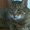 Photo of Qype User (suedix…)
