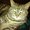 Photo of Debra Z.
