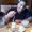 Photo of Payam S.