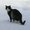 Photo of Ceci B.