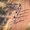 Photo of Qype User (grandh…)