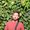 Photo of Jason R.