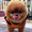 Photo of Thai H.