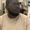 Photo of Vincent M.