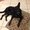 Photo of Janeen T.