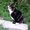 Photo of Qype User (Sidney…)