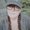 Photo of Heather H.