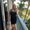 Photo of Julie C.