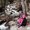 Photo of Nisha C.