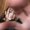 Photo of Karys L.