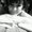 Photo of Catherine H.
