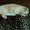 Photo of Louise L.
