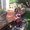 Photo of Latasha G.