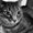 Photo of Beth R.