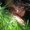 Photo of Dilem I.