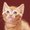 Photo of Mathias B.