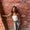 Photo of Destiny P.