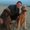 Photo of Dave R.