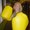 Photo of Lorri F.
