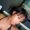 Photo of Zandi H.