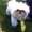 Photo of Cindy L.